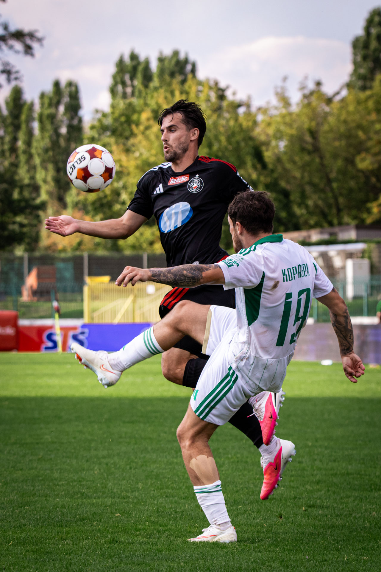 IMG_1535_fot-krawczyk.photo.jpg